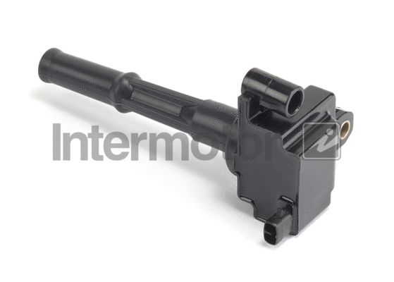 Ignition Coil (12410)