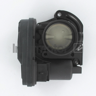 Throttle Body (68405)