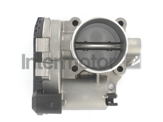 Throttle Body (68373)