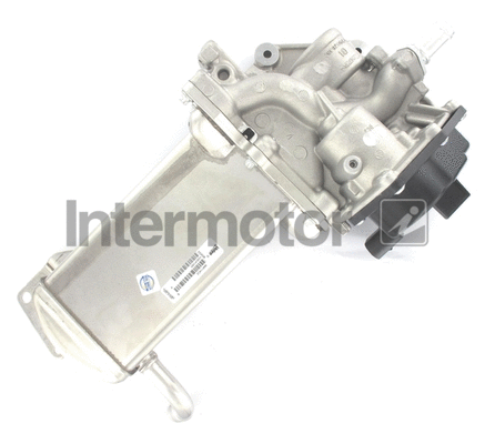 EGR Valve (18011)