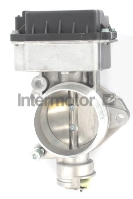 Throttle Body (68317)