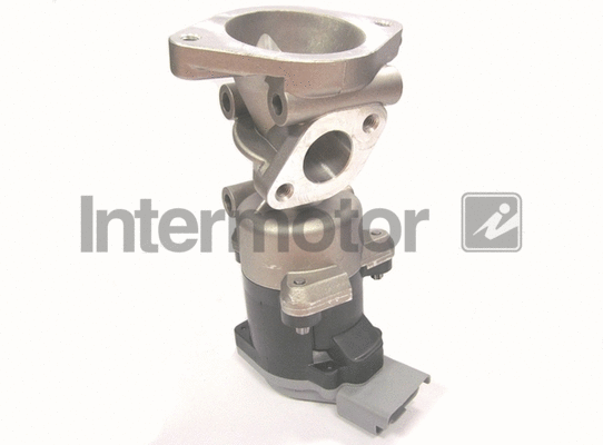 EGR Valve (14420)