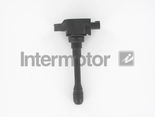 Ignition Coil (12197)