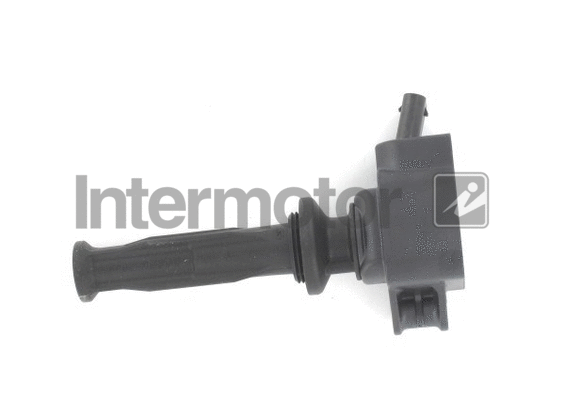 Ignition Coil (12152)