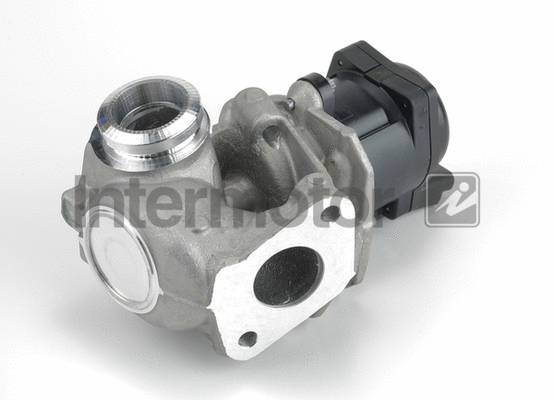 EGR Valve (14974)