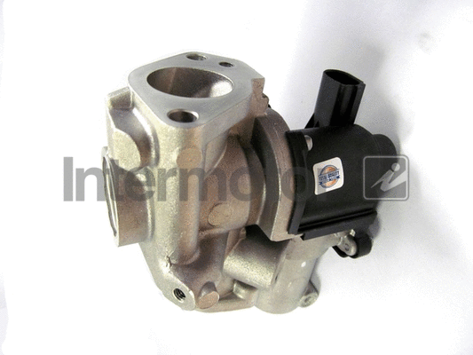 EGR Valve (14491)