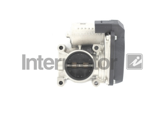 Throttle Body (68246)