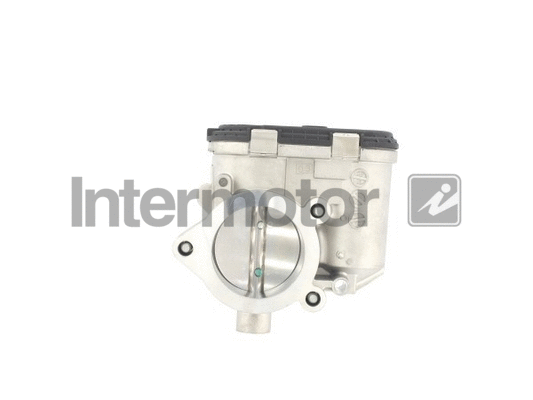 Throttle Body (68263)