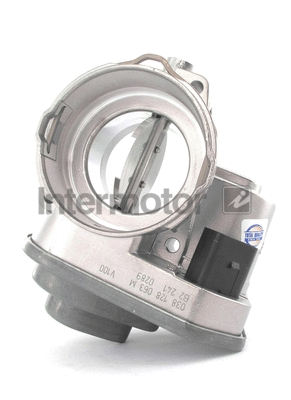 Throttle Body (68232)