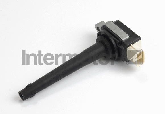 Ignition Coil (12402)