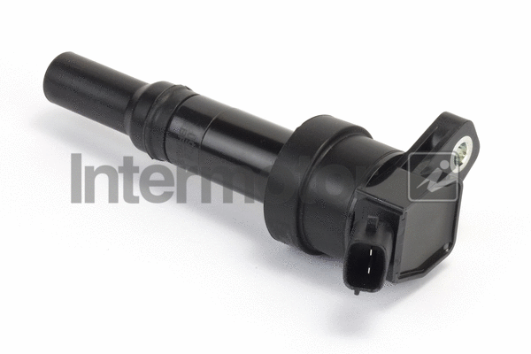 Ignition Coil (12114)