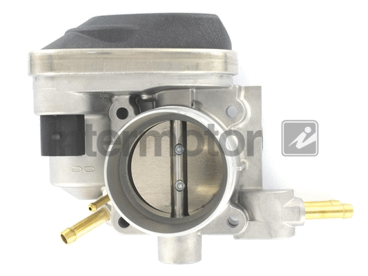 Throttle Body (68286)
