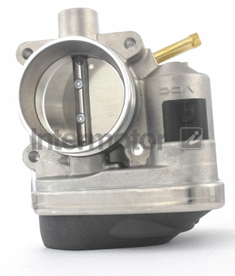 Throttle Body (68238)