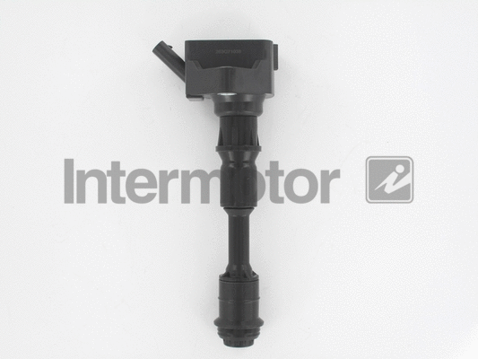 Ignition Coil (12236)