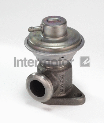 EGR Valve (14347)