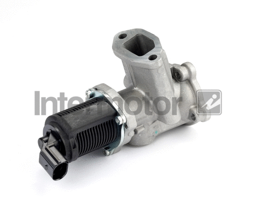 EGR Valve (14319)