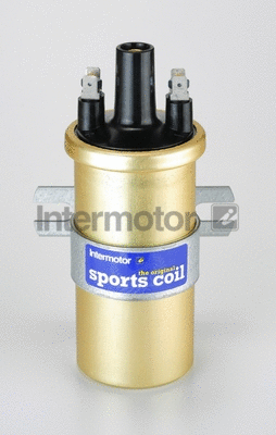 Ignition Coil (11110)