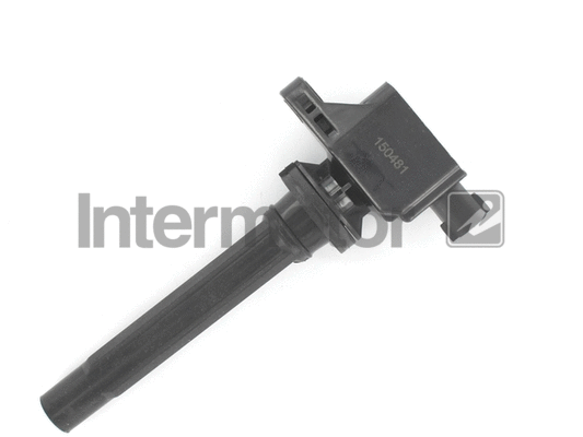 Ignition Coil (12181)