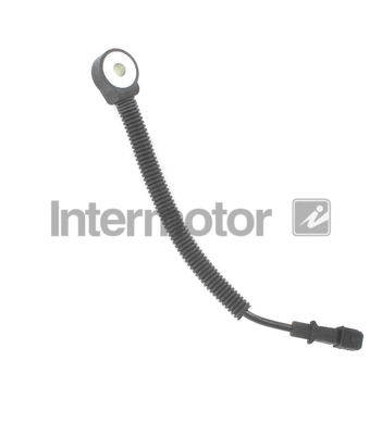 Knock Sensor