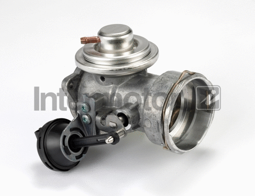 EGR Valve (14301)