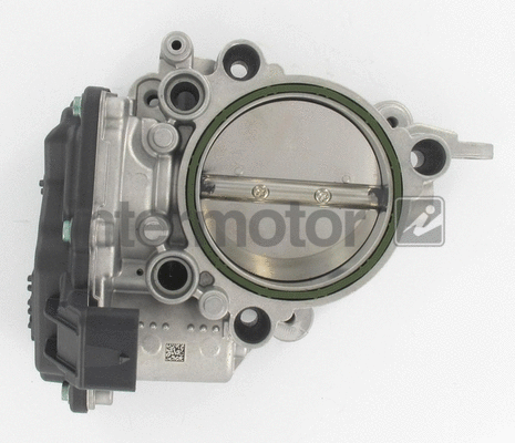 Throttle Body (68441)