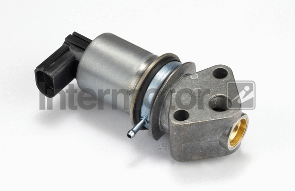 EGR Valve (14998)