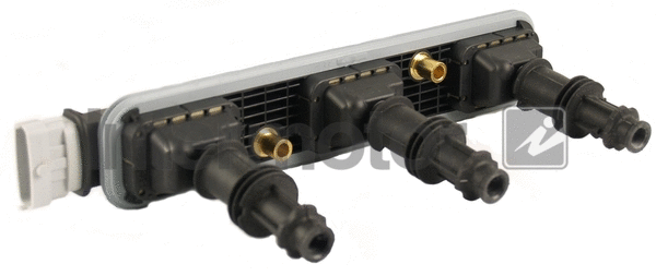 Ignition Coil (12845)
