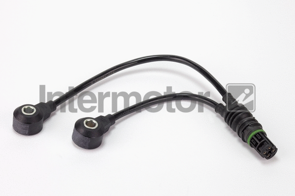 Knock Sensor (19542)