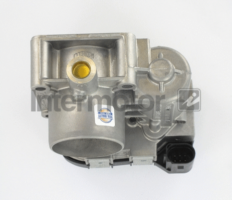 Throttle Body (68256)