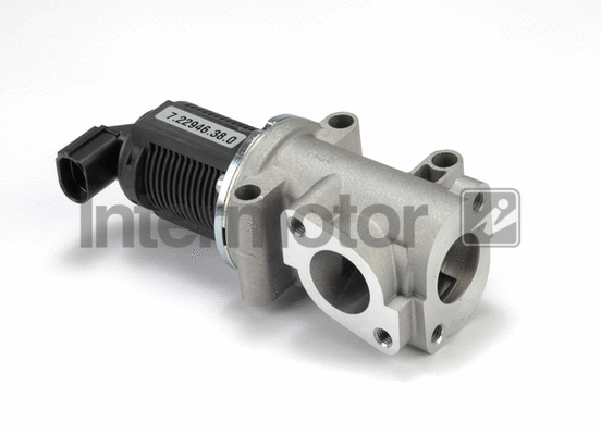 EGR Valve (14313)