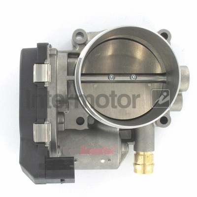 Throttle Body (68389)