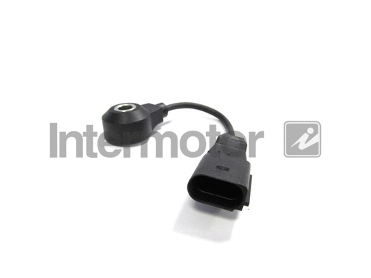 Knock Sensor (19543)