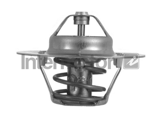 Thermostat, coolant (75037)