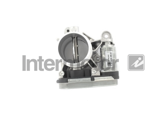 Throttle Body (68294)