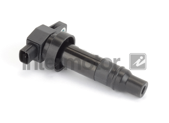 Ignition Coil (12406)