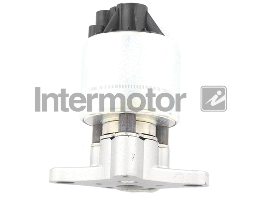 EGR Valve (18050)