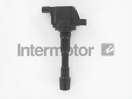 Ignition Coil (12196)