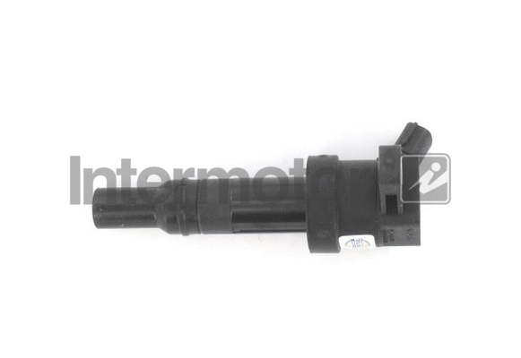 Ignition Coil (12164)
