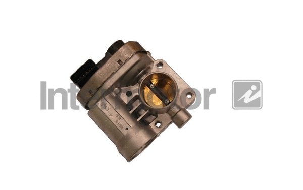Throttle Body (68295)