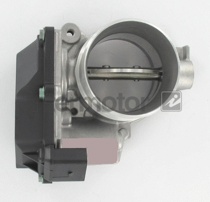 Throttle Body (68437)
