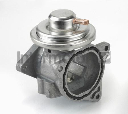 EGR Valve (14953)