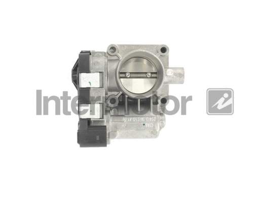 Throttle Body (68296)