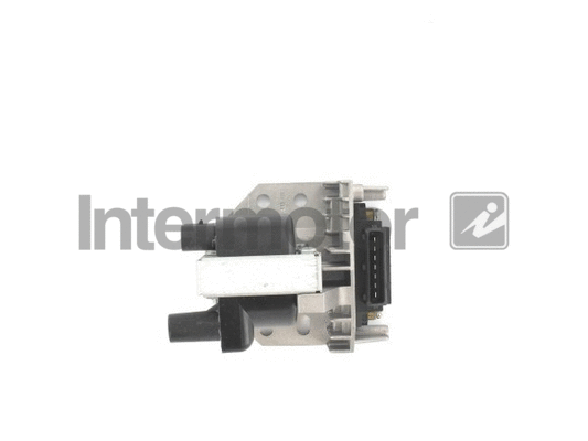 Ignition Coil (12925)