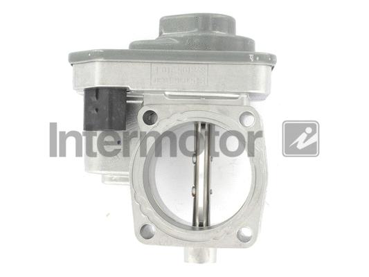 Throttle Body (68377)