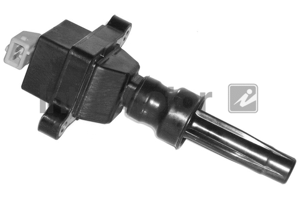 Ignition Coil (12755)