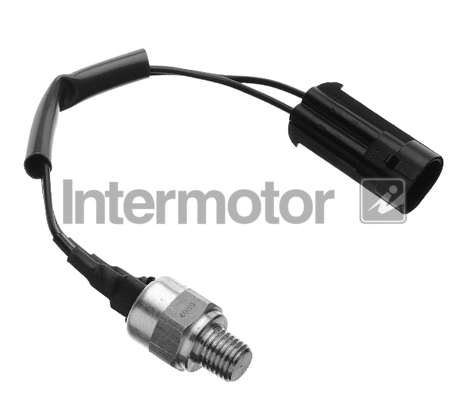 Temperature Switch, coolant warning lamp