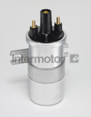 Ignition Coil (11070)