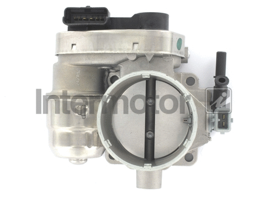 Throttle Body (68356)