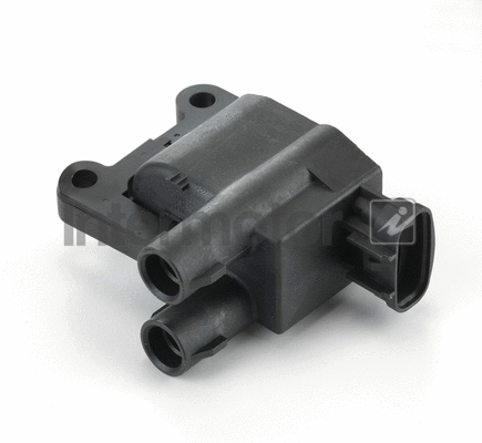 Ignition Coil (12862)