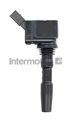 Ignition Coil (12247)